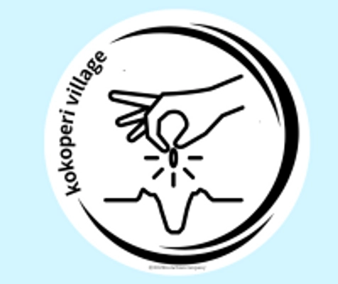 合同会社kokoperi村