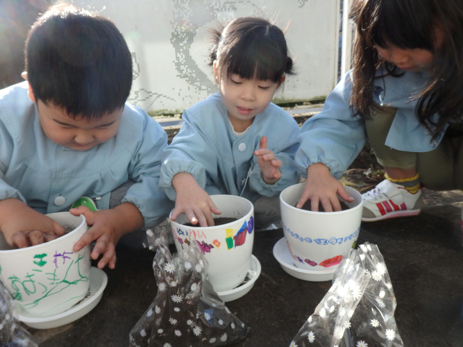 楽しそうにチューリップの植付けをする園児たち