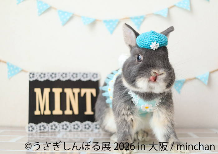 うさぎしんぼる 展示作品：minchan