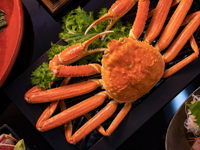 ボイルガニ/一例