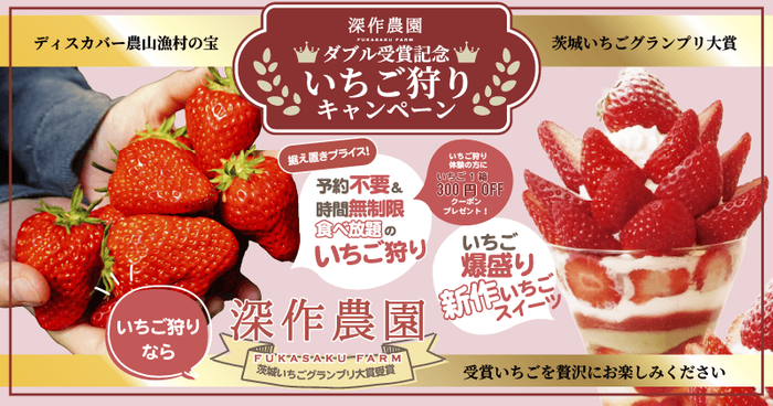 深作農園ダブル受賞記念いちご狩りキャンペーン