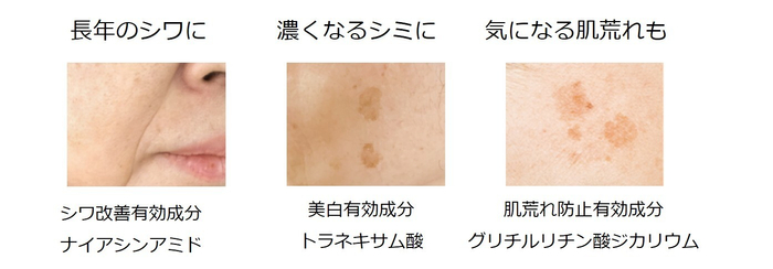3つの有効成分