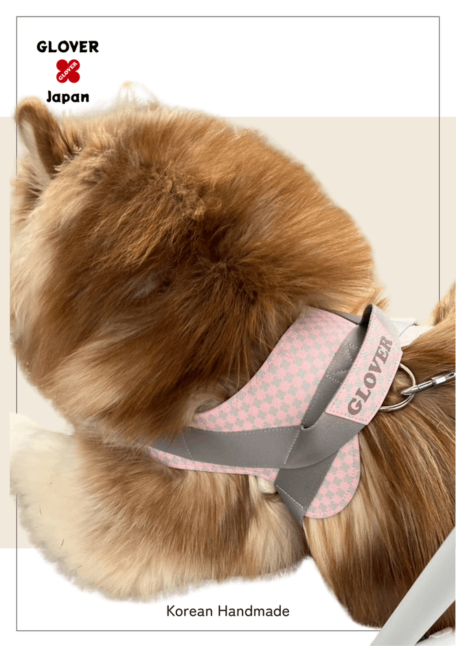 ハーネス大型犬着用