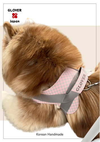 ハーネス大型犬着用