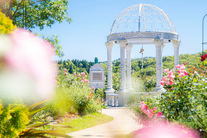 ▲当施設内のガーデンに囲まれた&ldquo;恋人の聖地&rdquo;でカジュアルフォトウェディング