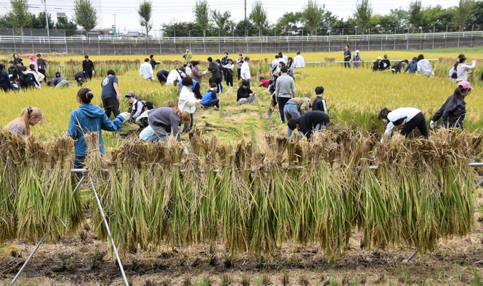 約200人が参加した収穫祭