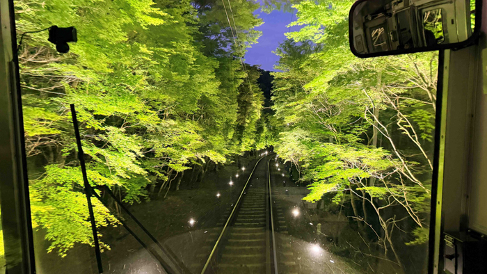 もみじのトンネル