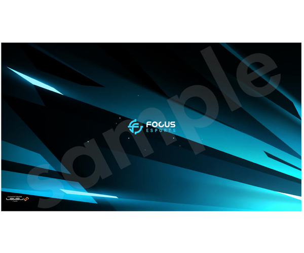 (Focus e-Sports Teamオリジナル壁紙)