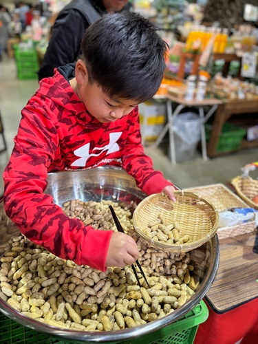 お箸でつまみ取り・落花生