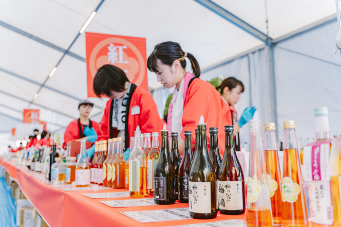 梅酒120種以上から飲み比べが楽しめる