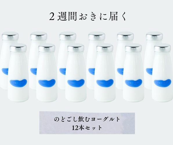 定期便 のどごし飲むヨーグルト12本分
