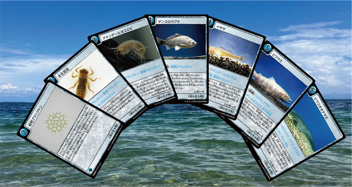 環境学習用カードゲームマイアース「琵琶湖版パッケージ」