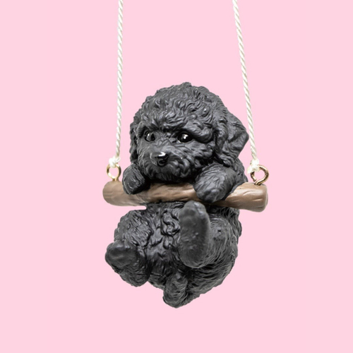 トイプードル（黒）