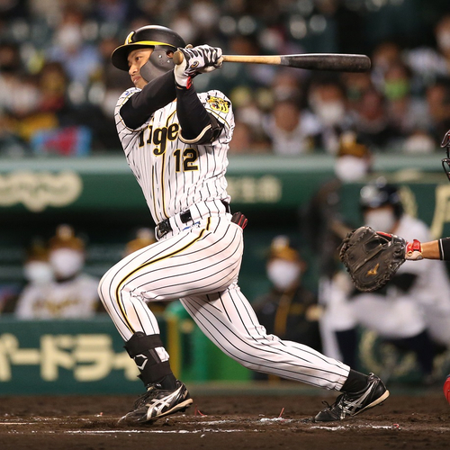 阪神・坂本誠志郎捕手