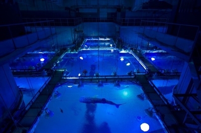 閉館後の海遊館(イメージ)
