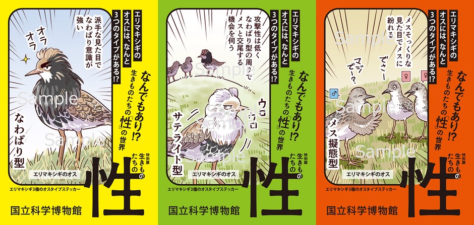 エリマキシギステッカー3種