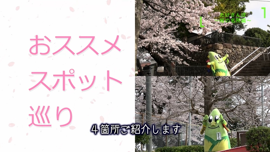 動画内映像：おすすめスポット巡り