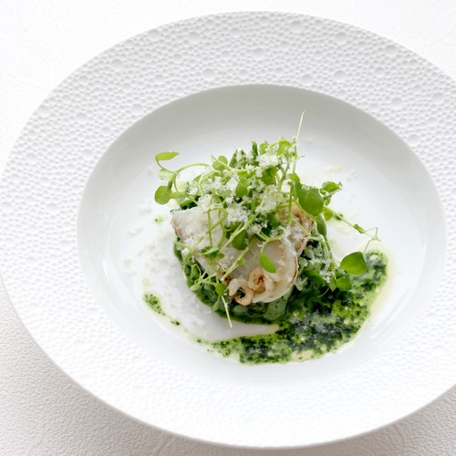 トラフグと春野菜リゾット