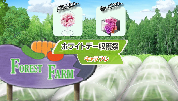 「ホワイトデー収穫祭」