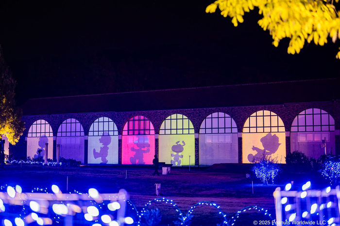 タオル美術館3Dプロジェクションマッピング