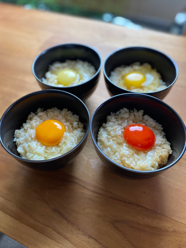 色だけでもこれだけの違いが!