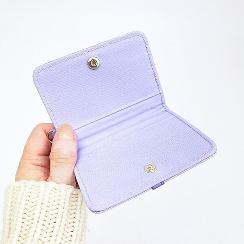 ポケモンのパスケース