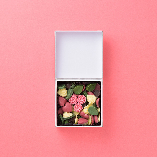 minirose_2026cherie_main