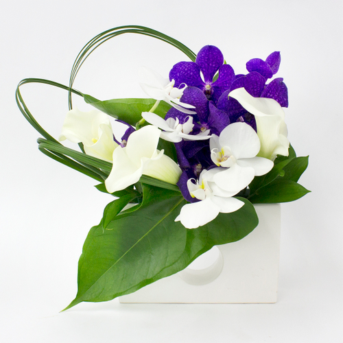 『和』のどかシリーズ　MW　￥11,000（税込）