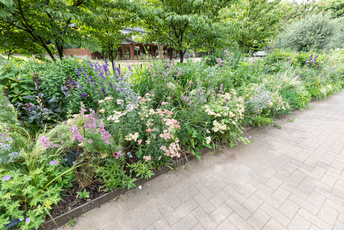 コンテストガーデン