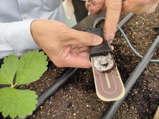 デンソー&times;DPT(2)