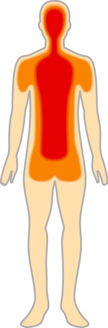 図5 深部体温のイメージ