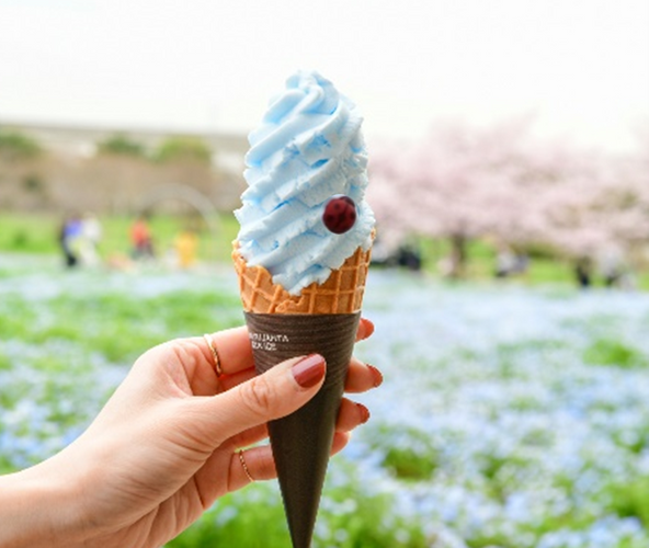 ▲ネモフィラソフト（イメージ）