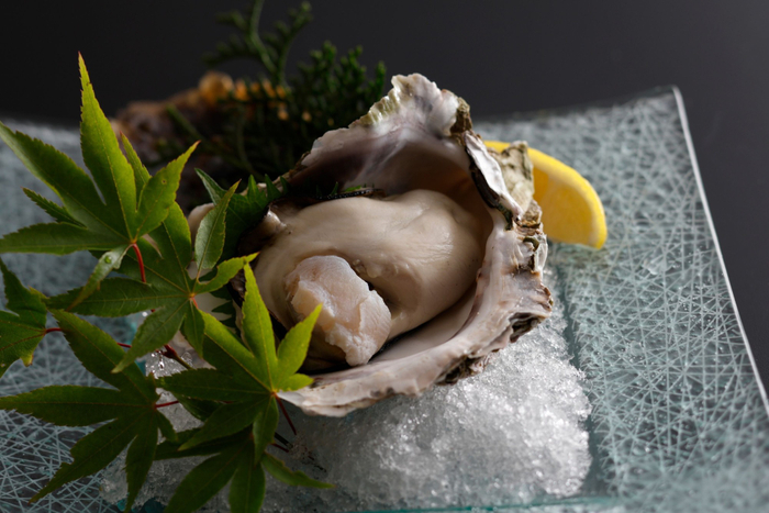 【旬のひと品｜夏一例】日本海が育んだ、濃厚な夏の一雫。舞鶴産『岩ガキ』