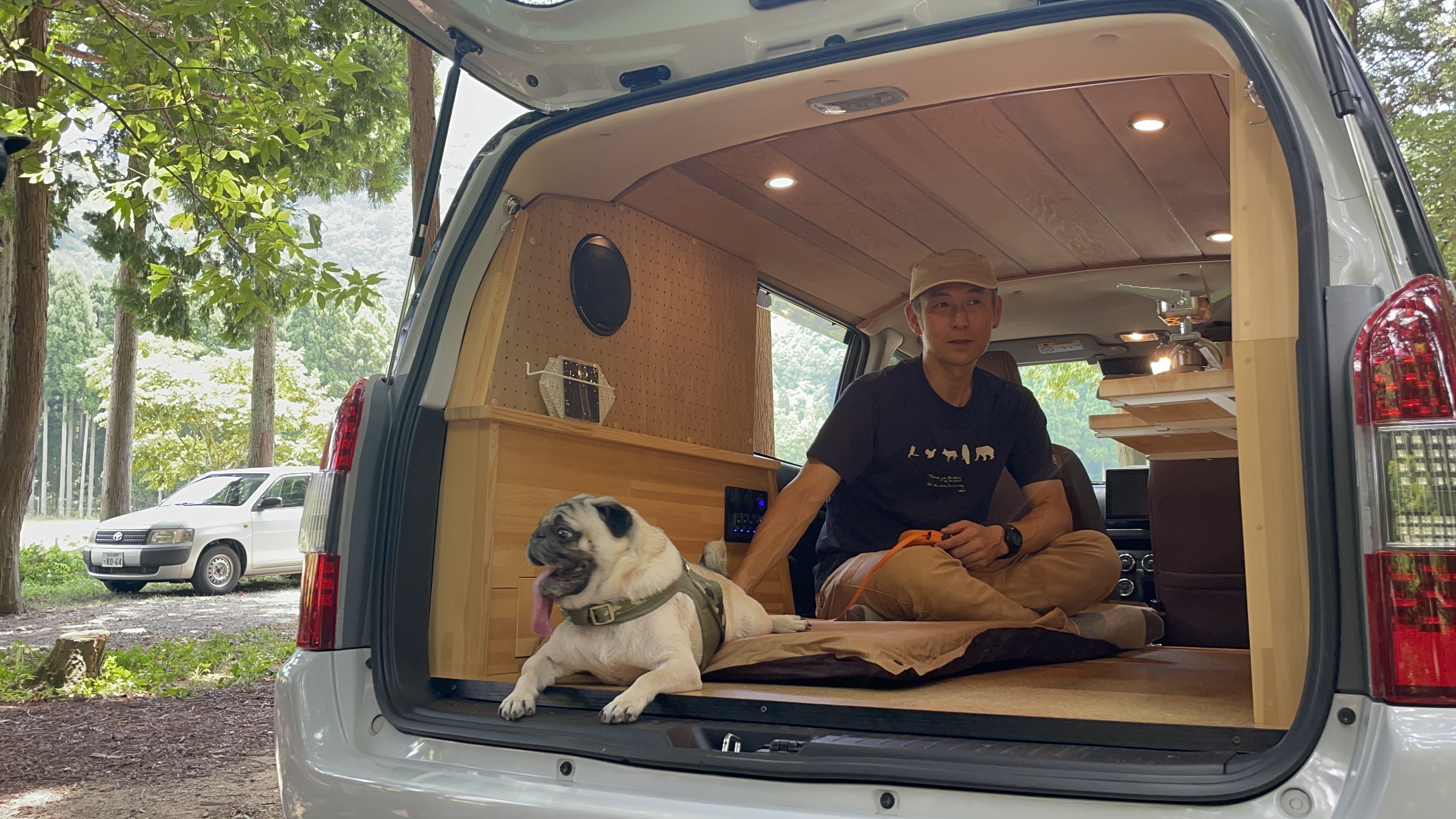 サンライズ仕様　トヨタプロボックス