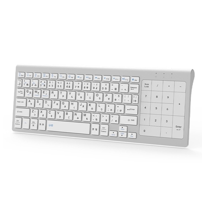 White ● ホワイト