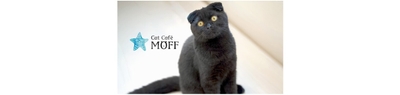 Cat Cafe MOFF 沖縄国際通り店