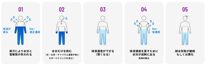 汗をかいたとき、電解質の入っていない飲料だけを飲んでいると
