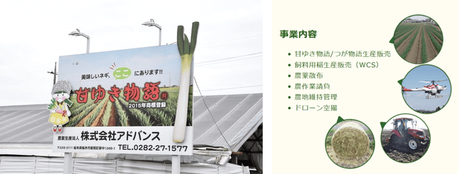 アドバンス社について