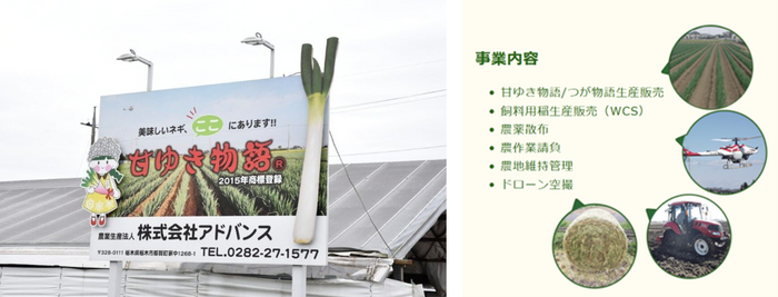 アドバンス社について