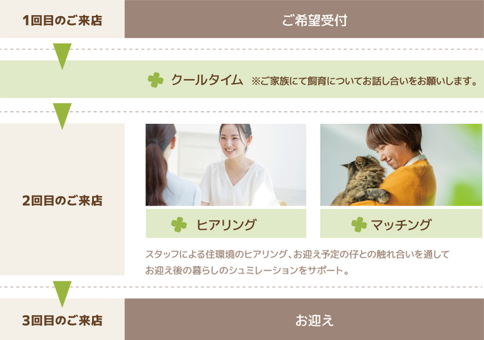 「CLOVER STEP」ご希望からお迎えまでの流れ