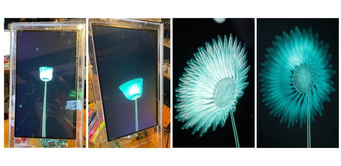 実証実験中の「Log Flower」の様子＜3～4週目＞ 発話量の多さに応じてボリューム感のある唯一無二の花へと成長。　　※「CryptoBar P2P」公式Twitterおよび店内撮影の許可を得て掲載しています。