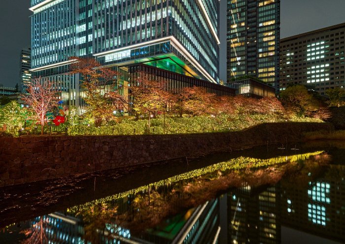 KIOI WINTER FOREST（夜イメージ）