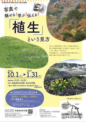 チラシ
