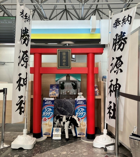 AIRDO出発カウンターに設置されている 「勝源（かつげん）神社」分社