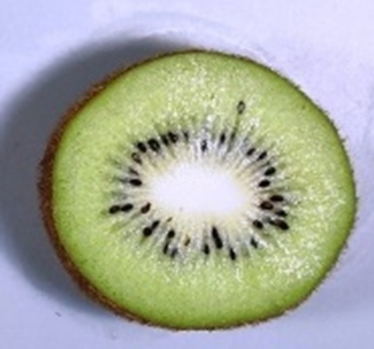 図３　A：全体に受粉すると種子は全体に分布し、果実は均一に肥大した。