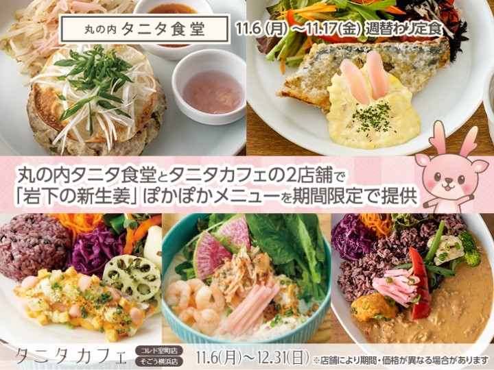 丸の内タニタ食堂とタニタカフェ(コレド室町店・そごう横浜店)で岩下の新生姜メニューを提供