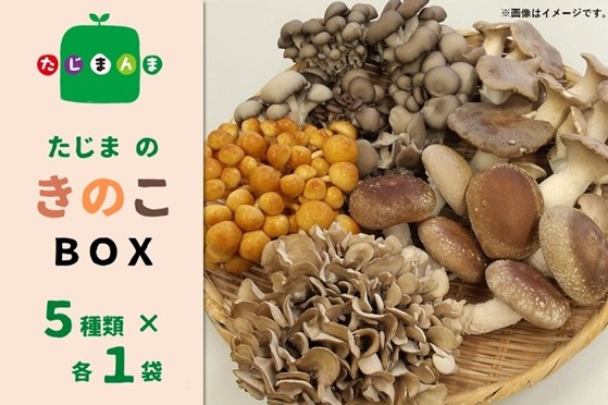 「たじまのきのこBOX」