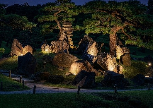 中島周辺のライトアップ（昨年度の様子）