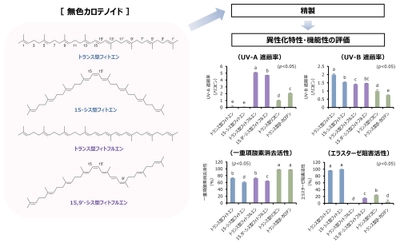 【名城大学】次世代の化粧品・食品素材の開発へ！ 天然由来の無色カロテノイドの紫外線防御と美容効果を確認