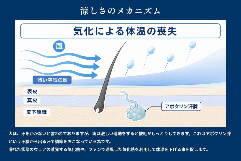 7_気化熱の仕組み